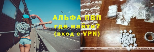 PSILOCYBIN Строитель