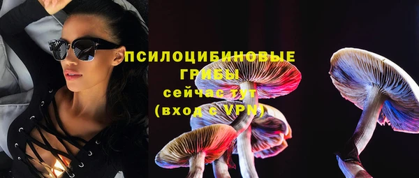 крисы Балахна