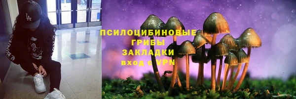 бошки Баксан
