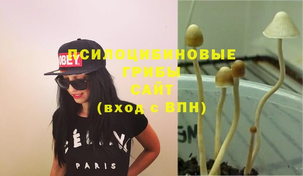 крисы Струнино
