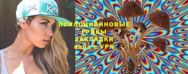 крисы Балахна